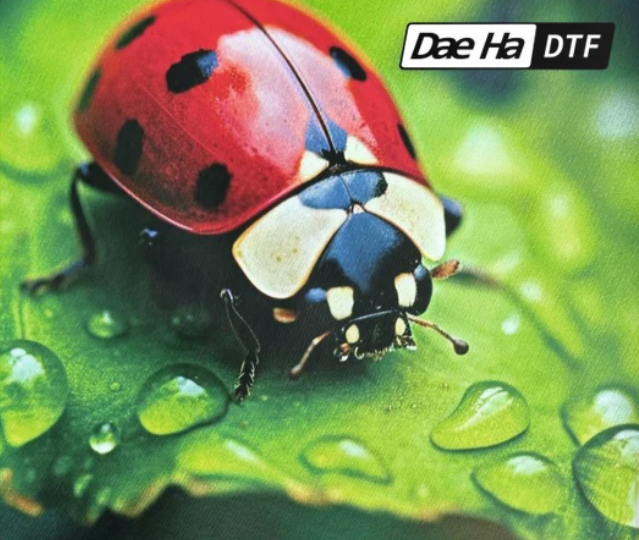 CONNECTING THE DOTS IN DTF FROM IMAGES MAGAZINE