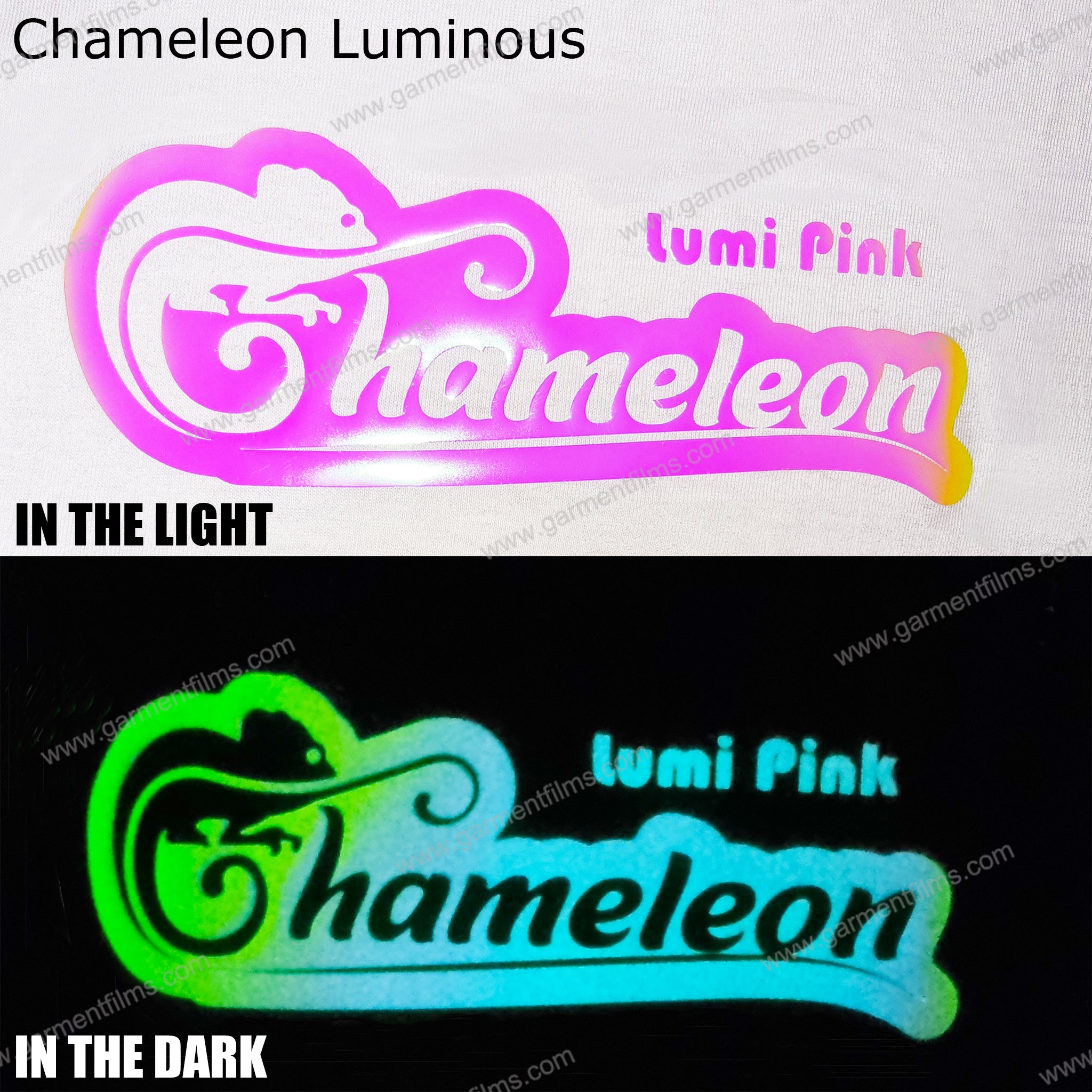 CHAMELEON SERIES