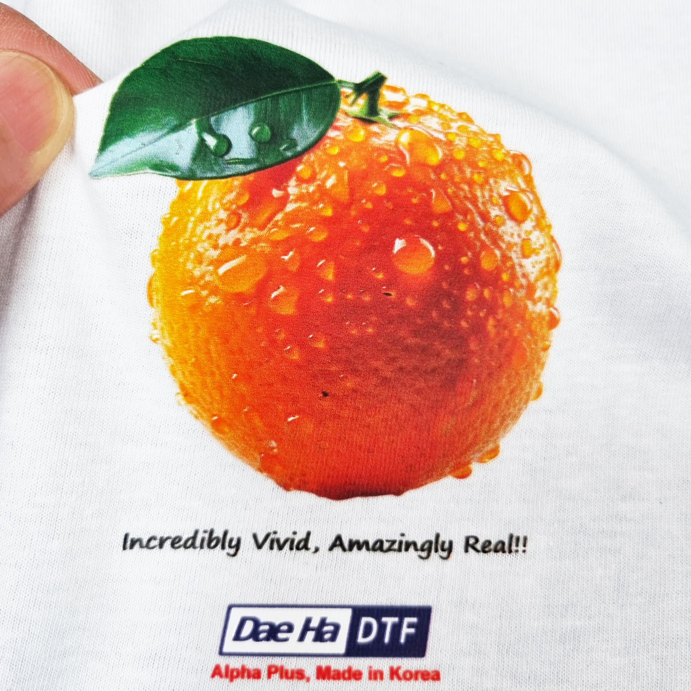 [Newsletter Vol.15] Dae Ha DTF Film_Are you still sticking with the decision?