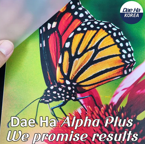 [Newsletter Vol.12] Dae Ha DTF Film_Time to Rethink What You're Sticking With.