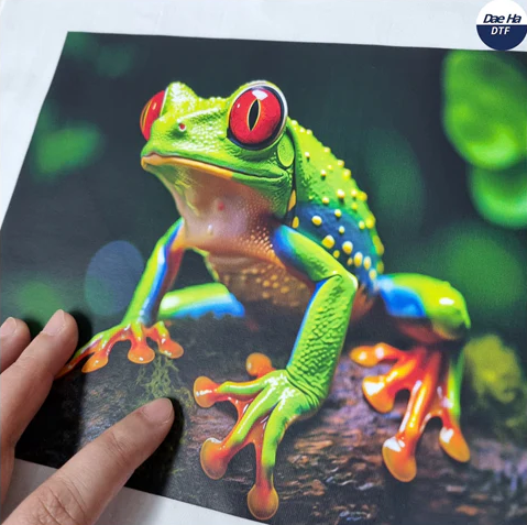 [Newsletter Vol.11] Dae Ha DTF Film_Paying Too Much or Taking Too Many Risks?