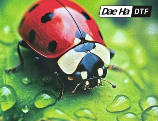 CONNECTING THE DOTS IN DTF FROM IMAGES MAGAZINE